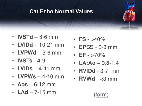 normal range for echocardia.